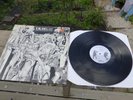 UK Decay - For Madmen Only UK Decay DK LP1 1981 Press Rare Goth Rock/ Punk LP