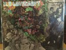 [ROCK/POP] VG+ LP H.P. LOVECRAFT Self Titled {Original 1967 PHILIPS Issue] 1st