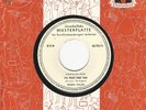 Musterplatte / Promo Frankie Avalon - I`ll wait for you / Short fat fannie