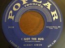 Rockabilly 45 Kenny Owen - I Got The Bug HEAR  Poplar