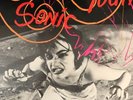 Sonic Youth EVOL 12