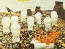 CRESSIDA-ASYLUM VINYL NEU