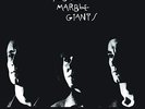 YOUNG MARBLE GIANTS-COLOSSAL YOUTH VINYL LP NEW