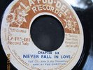 CHAPTER SIX FUD CHRISTIAN Never Fall In Love LA-FUD-DEL 7” 45 VINYL REGGAE