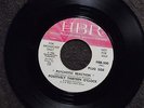 POSITIVELY THIRTEEN O'CLOCK Psychotic Reaction HBR 500 DJ listen  GARAGE