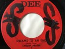 RARE Michigan Country Private 45/Sandra Prater & Praters 