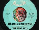HEAR Sting Rays 45 I'M Gonna Surprise You/Lady Be Good R&B northern soul mod