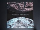 Between The Buried and Me The Parallax II: Future Sequence LP blue/grey vinyl