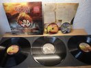 THE GENTLE STORM - THE DIARY 2015 LIMITED EDITION 3x LP + 2x CD IN MINT RAR