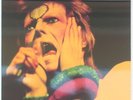 David Bowie ?– From The Victoria Hall Archives 2 LP Limited Edition