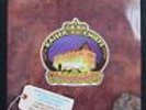 KAISER CHIEFS Every Day I Love You..LTD EDITON PICTURE DISC Die-Cut 7” 45 MINT