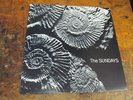 SUNDAYS Reading Writing LP ROUGH TRADE picture disc orig. VG++ nice