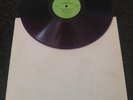 Bob Dylan Vinyl - While The Establishment Burns GWW LP CV-Purple Winklhofer 1848