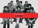 Bloodlines [8 45 RPM 200 Gram Vinyl] [Booklet] [Box] * by Blood, Sweat & Tears