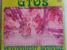 GTO's - Permanent Damage - Original US LP + Booklet - FRANK ZAPPA Psych Straight