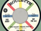 SHELLS She Wasn't Meant for Me / The Thief 45rpm Roulette 1959 NYC doo-wop