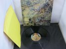 Vinyl Record LP Album WINGS WILD LIFE (34)