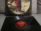KATE BUSH THE RED SHOES REMASTERED 2-LP VINYL (Released November 16th 2018)