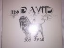 Bro David - No Fear LP (Dub Reggae 1983)