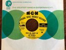 M-  / GARAGE ROCK 45 / The Models / BEND ME SHAPE ME / MGM 13775 / Hear