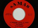 Northern Soul 45 - Icemen - (I Wonder) What It Takes - Samar - VG+ mp3