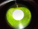 The Beatles Apple 45 record WE CAN WORK IT OUT, ERROR BLANK LABEL