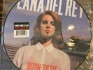 LANA DEL REY Born To Die RSD 2013 Picture Disc VINYL LP New UNPLAYED Ltd 2500