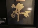 U2 Joshua Tree 6xLP Super Deluxe Vinyl Box Set new sealed