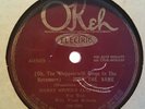 Okeh 40809 78 Harry Reser Jazz Pilots Just The Same Goofus Five Muddy Water