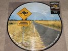 COSMIC PSYCHOS - CUM THE RAW PRAWN - PICTURE DISC - NEW - LP RECORD