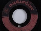 Rockabilly 45 UNKNOWN ARTIST Down In The Willow Garden AUDIODISC acetate HEAR