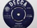 BURR BAILEY Chahawki 7