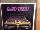 The Tigers 