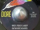 SWEET SOUL THE NATURAL RESOURCE Hey foxy lade / Hold back the dawn DORE LISTEN
