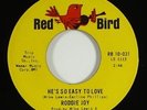 Roddie Joy 