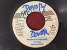 FRANKIE PAUL / WORRIES IN THE DANCE ROCKERS RUB-A-DUB REGGAE 45 CHANNEL ONE