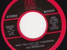 THE SHIRELLES - Will You Still Love Me Tomorrow 7