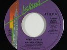 Malcolm McLaren 