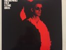 NOEL GALLAGHER'S HIGH FLYING BIRDS THE DYING OF THE LIGHT (DEMO) 10