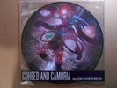COHEED AND CAMBRIA THE AFTERMAN DESCENSION VINYL PD PICTURE DISC WITH SLEEVE