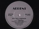 G.C. CAMERON: Wait Until Tomorrow / Shadows 45 (UK, Modern Soul Boogie) Soul