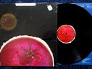 WOMB - Self Titled (1969) Vinyl, LP Dot DLP 25933 Opened Shrink Jazz Rock EX