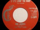 ROD ANDREA If It's Lovin' You Want 45 Cobra Promo RARE TX NORTHERN SOUL R&B HEAR
