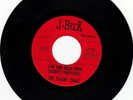 ZAKARY THAKS - Can You Hear / Mirror garage punk psych fuzz TX (J-Beck) *HEAR