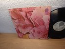 STILL LIFE - Same SWIRL VERTIGO, PROG Orig.1971 LP 1st PRESS MINT