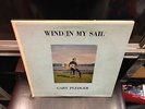 Gary Pledger Wind In My Sail LP Londonderry VG+ [private press xtain folk]