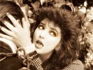 Kate Bush Remastered In Vinyl I 180g 4LP Box Set