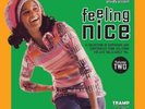 VARIOUS - Feeling Nice Vol.2 - 2 LP Tramp
