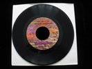 CRYSTAL CHANDELIER YOUR LAND OF LOVE/SUICIDAL FLOWERS GARAGE FUZZ PSYCH PROMO 45