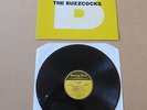 BUZZCOCKS The Peel Sessions Album LP RARE ORIGINAL 1989 UK 1ST PRESSING SFRLP104